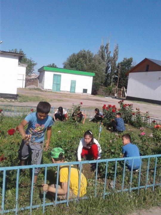 Мектеп жанындағы еңбек лагерьлерінде құрылыс және көгалдандыруды ұйымдастырылды